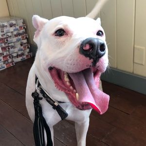 Meet your Posher, Debra